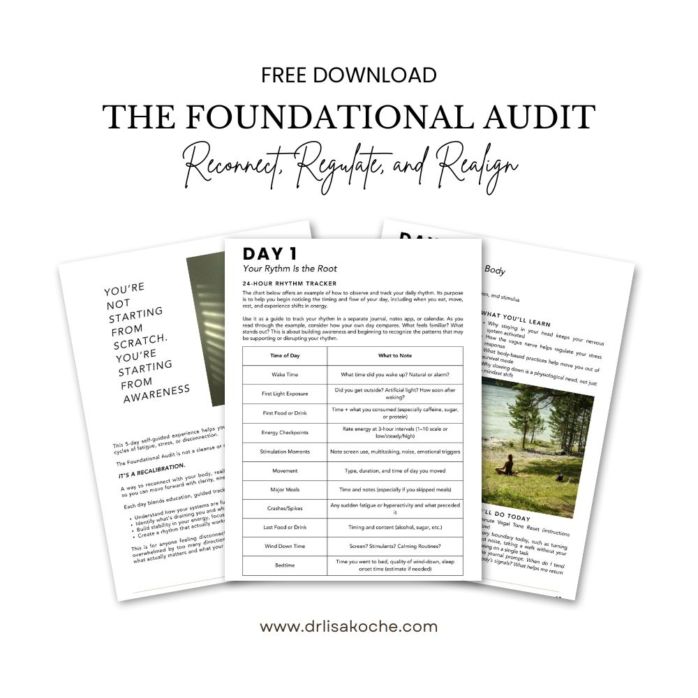 The foundational audit free download, what's included